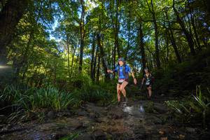 BIB: 
                            <button type="button" onclick="openModal(19229498)" class="btn btn-primary btn-sm float-right btn-popup" data-toggle="modal" data-target=".modal-high-quality">
                        <i class="fas fa-shopping-cart"></i> Add to Cart
                    </button>
                                            <button type="button" onclick="isThisMe(19229498, true)" class="btn btn-success btn-sm float-right btn-popup btn-isme hidden" data-toggle="tooltip" data-placement="bottom" title="นี่คือรูปของคุณใช่ไหม คลิกที่นี่เพื่อเอาเข้าอัลบั้ม">
                        <i class="fas fa-plus"></i> Add to album
                    </button>
                    <button type="button" onclick="isThisMe(19229498, false)" class="btn btn-warning btn-sm float-right btn-popup btn-isnotme hidden">
                        <i class="fas fa-ban"></i> Remove from album
                    </button>